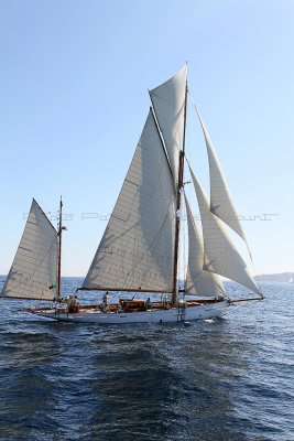 113 Voiles de Saint-Tropez 2012 - IMG_1007_DxO Pbase.jpg