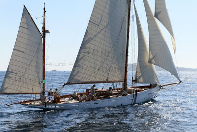 114 Voiles de Saint-Tropez 2012 - IMG_1008_DxO Pbase.jpg