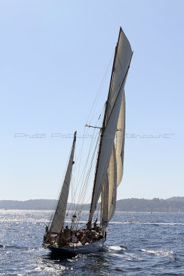 116 Voiles de Saint-Tropez 2012 - IMG_1010_DxO Pbase.jpg