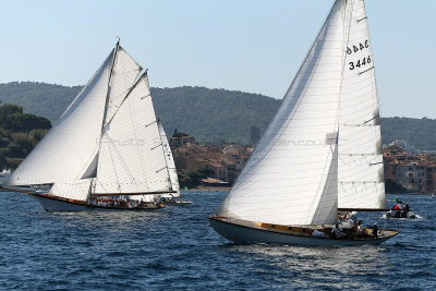 126 Voiles de Saint-Tropez 2012 - MK3_5797_DxO Pbase.jpg