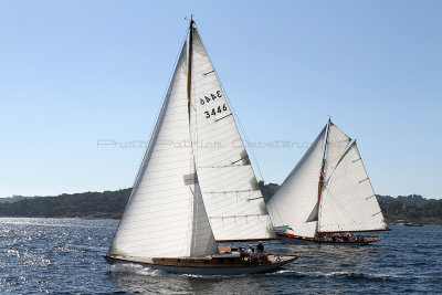 141 Voiles de Saint-Tropez 2012 - IMG_1018_DxO Pbase.jpg