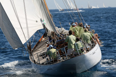 199 Voiles de Saint-Tropez 2012 - MK3_5857_DxO Pbase.jpg