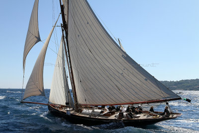 252 Voiles de Saint-Tropez 2012 - IMG_1039_DxO Pbase.jpg