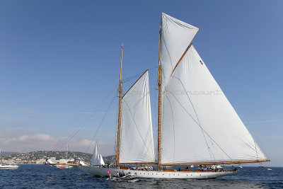 1896 Voiles de Saint-Tropez 2012 - IMG_1626_DxO Pbase.jpg