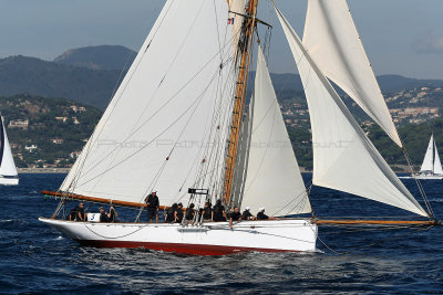 286 Voiles de Saint-Tropez 2012 - MK3_5930_DxO Pbase.jpg