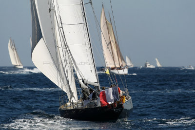 345 Voiles de Saint-Tropez 2012 - MK3_5985_DxO Pbase.jpg