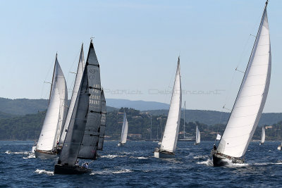 410 Voiles de Saint-Tropez 2012 - MK3_6043_DxO Pbase.jpg