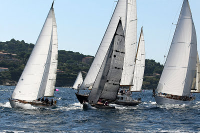 415 Voiles de Saint-Tropez 2012 - MK3_6048_DxO Pbase.jpg