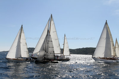 418 Voiles de Saint-Tropez 2012 - IMG_1056_DxO Pbase.jpg