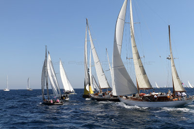 424 Voiles de Saint-Tropez 2012 - IMG_1062_DxO Pbase.jpg