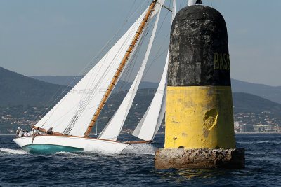 469 Voiles de Saint-Tropez 2012 - MK3_6093_DxO Pbase.jpg