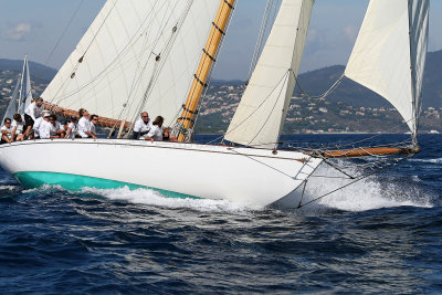 490 Voiles de Saint-Tropez 2012 - MK3_6109_DxO Pbase.jpg