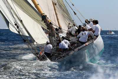 494 Voiles de Saint-Tropez 2012 - MK3_6110_DxO Pbase.jpg