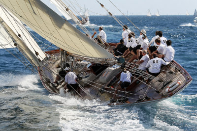 521 Voiles de Saint-Tropez 2012 - MK3_6133_DxO Pbase.jpg