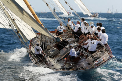 522 Voiles de Saint-Tropez 2012 - MK3_6134_DxO Pbase.jpg