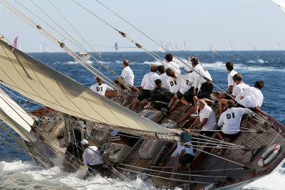 533 Voiles de Saint-Tropez 2012 - MK3_6145_DxO Pbase.jpg