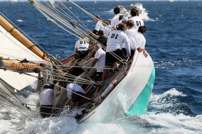 539 Voiles de Saint-Tropez 2012 - MK3_6151_DxO Pbase.jpg