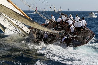 546 Voiles de Saint-Tropez 2012 - MK3_6158_DxO Pbase.jpg