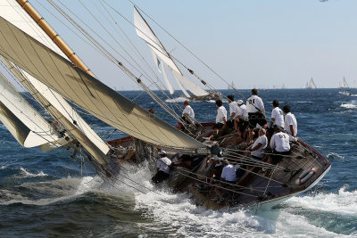 566 Voiles de Saint-Tropez 2012 - MK3_6177_DxO Pbase.jpg