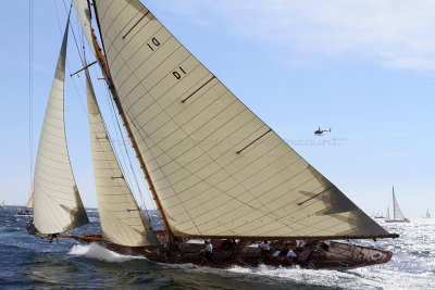 571 Voiles de Saint-Tropez 2012 - IMG_1081_DxO Pbase.jpg