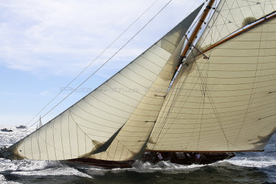 580 Voiles de Saint-Tropez 2012 - IMG_1087_DxO Pbase.jpg