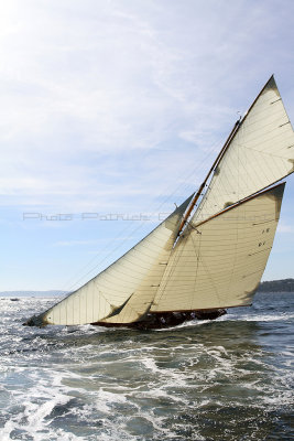 584 Voiles de Saint-Tropez 2012 - IMG_1091_DxO Pbase.jpg