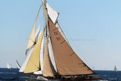 602 Voiles de Saint-Tropez 2012 - MK3_6194_DxO Pbase.jpg