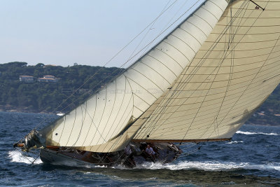 604 Voiles de Saint-Tropez 2012 - MK3_6196_DxO Pbase.jpg