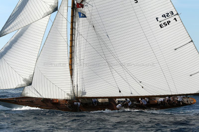 624 Voiles de Saint-Tropez 2012 - MK3_6216_DxO Pbase.jpg