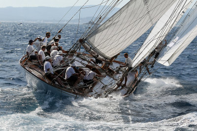 660 Voiles de Saint-Tropez 2012 - MK3_6250_DxO Pbase.jpg