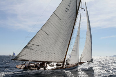 664 Voiles de Saint-Tropez 2012 - IMG_1100_DxO Pbase.jpg