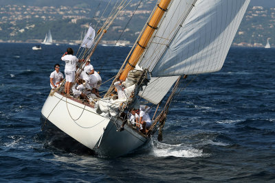 675 Voiles de Saint-Tropez 2012 - MK3_6263_DxO Pbase.jpg