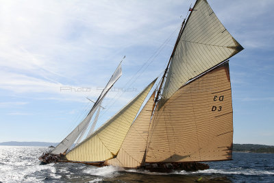 694 Voiles de Saint-Tropez 2012 - IMG_1113_DxO Pbase.jpg