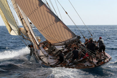 701 Voiles de Saint-Tropez 2012 - MK3_6272_DxO Pbase.jpg