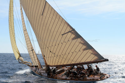 703 Voiles de Saint-Tropez 2012 - IMG_1119_DxO Pbase.jpg