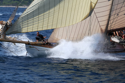 717 Voiles de Saint-Tropez 2012 - MK3_6284_DxO Pbase.jpg