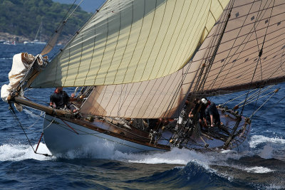 724 Voiles de Saint-Tropez 2012 - MK3_6291_DxO Pbase.jpg