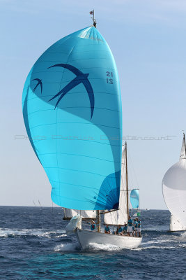 758 Voiles de Saint-Tropez 2012 - MK3_6325_DxO Pbase.jpg