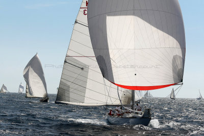 772 Voiles de Saint-Tropez 2012 - MK3_6339_DxO Pbase.jpg