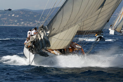 795 Voiles de Saint-Tropez 2012 - MK3_6362_DxO Pbase.jpg