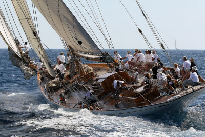 824 Voiles de Saint-Tropez 2012 - MK3_6388_DxO Pbase.jpg