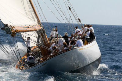 831 Voiles de Saint-Tropez 2012 - MK3_6395_DxO Pbase.jpg