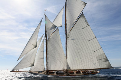 834 Voiles de Saint-Tropez 2012 - IMG_1127_DxO Pbase.jpg