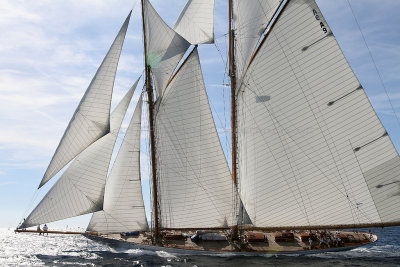 835 Voiles de Saint-Tropez 2012 - IMG_1128_DxO Pbase.jpg