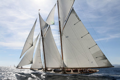 836 Voiles de Saint-Tropez 2012 - IMG_1129_DxO Pbase.jpg