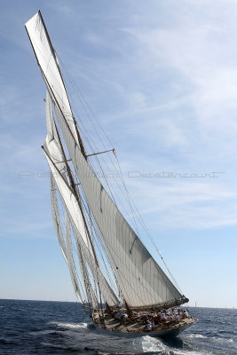 845 Voiles de Saint-Tropez 2012 - IMG_1134_DxO Pbase.jpg