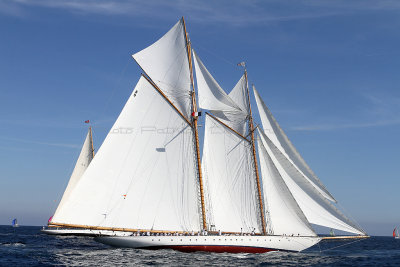 856 Voiles de Saint-Tropez 2012 - IMG_1139_DxO Pbase.jpg