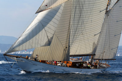 862 Voiles de Saint-Tropez 2012 - MK3_6409_DxO Pbase.jpg