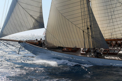 872 Voiles de Saint-Tropez 2012 - MK3_6419_DxO Pbase.jpg