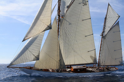 876 Voiles de Saint-Tropez 2012 - IMG_1144_DxO Pbase.jpg